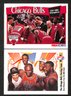 1991 NBA Hoops & 1991 Skybox:  Chicago Bulls Team Cards