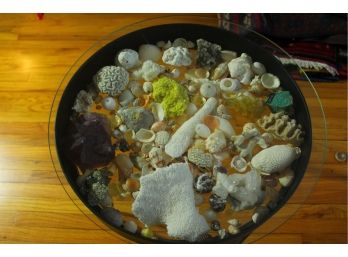 Display Table With Shells And Stones