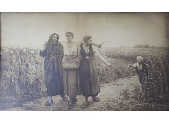 'The Harvesters'