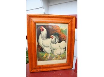 Cassells Poultry Book  Plate Circa 1880's