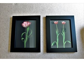 Pair Of Framed Flower Pictures