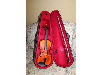 Violin  24'Long