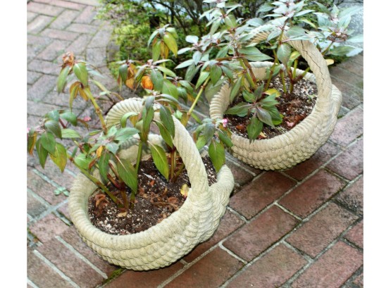 Adorable Pair Of Cement Baskets