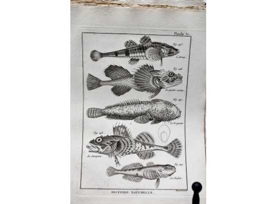 Rare Find!! Tableau Encyclopdique Et Mthodique  PARIS- C 1793 Specimen Engravings