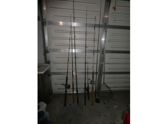Fishing Rods And Reel Collection