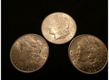 Three Silver Morgan Dollars 1902-o Nice Condition