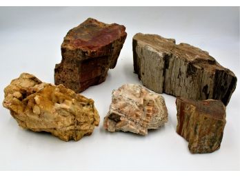 Petrified Wood & Rock Collection
