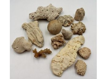 Collection Of Old Coral & More - Lot A - Shippable