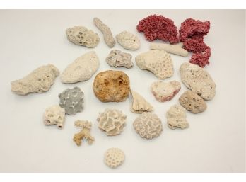 Collection Of Old Coral & More - Lot B - Shippable