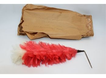 RARE- WAR OF 1812  Plum Feathers FROM 132ND REGIMENT  - Shippable
