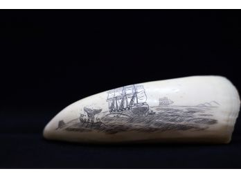 Engraved Scrimshaw Whale's Tooth- Shippable