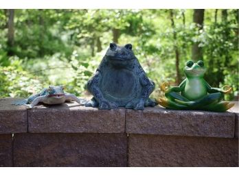 Outdoor Frog Friends