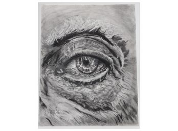 'the Eye' Original  Drawing  By John D. Herz Artist Signed