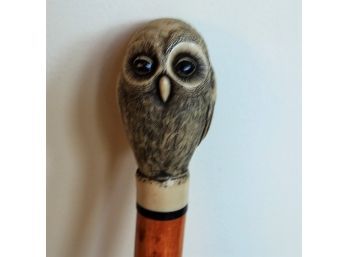 Owl Moulded Top Walking Stick/Cane