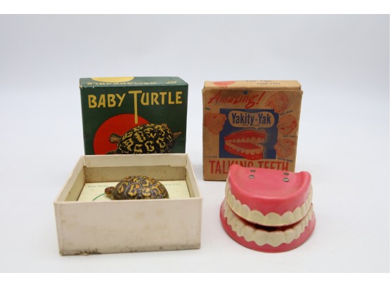 Baby Turtle Toy & Yakity Yak Teeth -SHIPPABLE