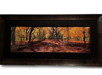 SIGNED AUSTRALIAN Photographer  Peter Lik Photography Framed In Leather Central Park - Smithtown Pick Up
