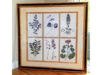 LARGE Six Botanicals In One Frame From Soicher Marin Fine Art