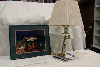 Lamp And Underwater Sea Turtle Photo