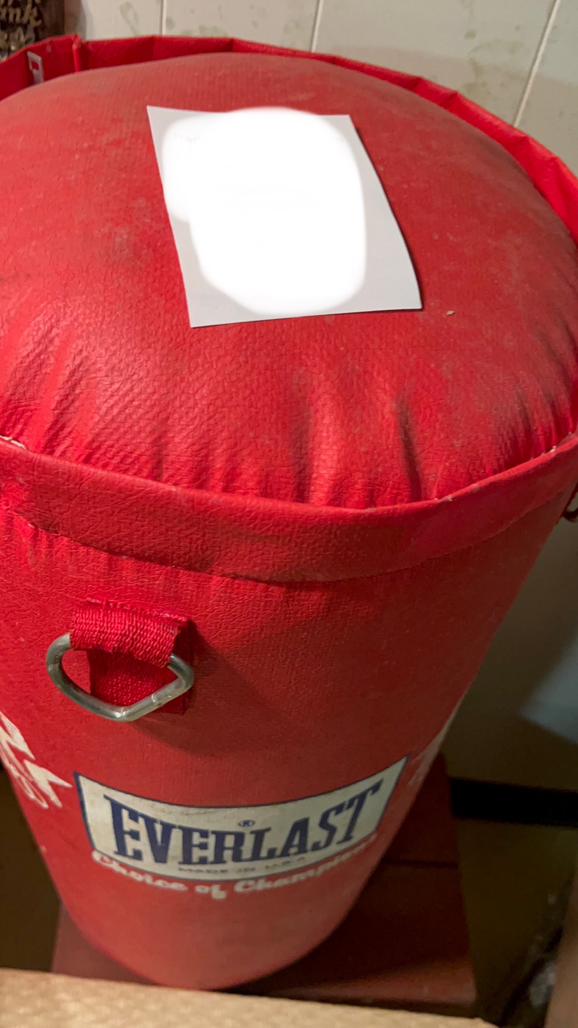red everlast punching bag