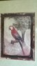 Parrot Framed Artwork