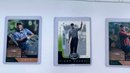 Tiger Woods Sports Cards