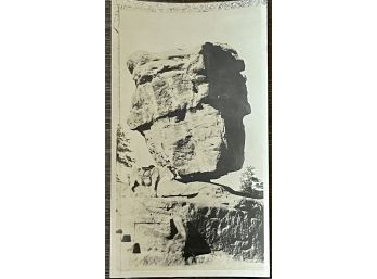 Black & White Photograph Antique Garden Of The Gods Balanced Rock With Horse In The Forefront