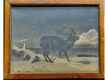Antique Black & White Elk Print In A Solid Oak Frame