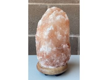 Small WMB Crystal Salt Lamp 1000 Series On Wooden Base