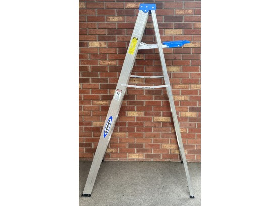 Werner 6 Foot 250 Pound Capacity Aluminum Ladder - Model 366 Mk21