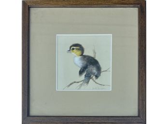 Fledgling Wood Duck Watercolor In Wooden Frame - Signed
