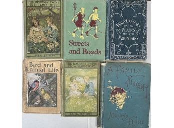 Antique Books, Bobbsey Twins, A Family Flight Around The House 1884,  31 Years Mountains 1905 And More