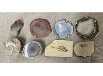 Collection Of Fossils, Cut Stone, & Rutilated Quartz