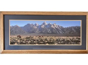 Grand Teton National Park Bison Photograph  With Solid Oak Frame