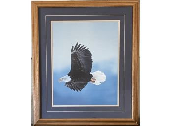Large Wood Framed Eagle Photograph Custom Matting And Oak Wood Frame