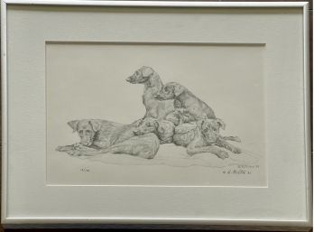 A. Milton Signed Print Dog Etching Limited Edition 12 Of 100 1983 Signed In 1985
