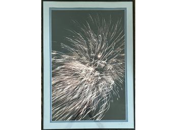 Signed Tom Pearce 86' High Resolution Fire Work Finale Denver Colorado Photograph In Metal Frame