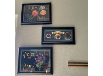 (3) Paper Seed Advertising - Violet Brand, Tulip Brand, And Pansy Brand