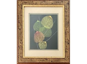 Leaf Lines By Booker Morey Hand Processed Leaves In Frame