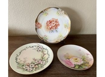 Antique Hand Painted Plates From Bavaria, Royal Rudolstadt, & Nippon