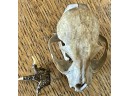 1934 Gem Mines Bob Cat Skull And Alligator Foot