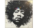 Jimi Hendrix Kiss The Sky 1984 Vinyl Album