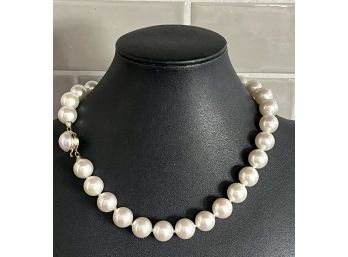 925 B1 Majorica 16' Pearl Necklace