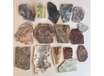 (16) Assorted Mineral Slices - Petrified Wood, Granite, Jasper, And More