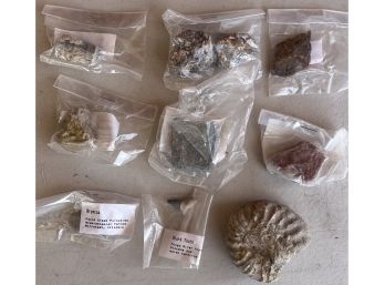 Lot Of Small Assorted Fossils - Coral, Petrified Wood, Gastropod, Shark Tooth, And More