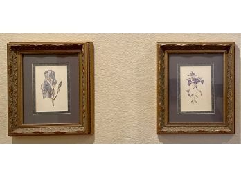 (2) Floral Prints In Decorative Gold Frames Seder Creek Collection