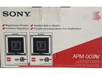 Sony APM-007AV Two Piece Speaker System With Built-in Amplifier In Box