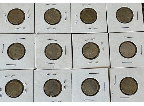 (12) Buffalo Head Nickels