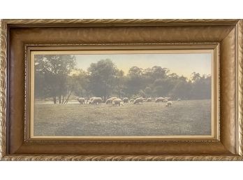 Vintage Flock Of Sheep Photograph In Frame