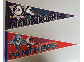 Florida Panthers And Mighty Ducks 30' Pennant Flags