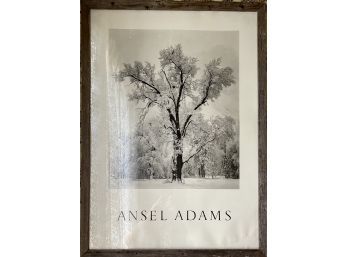 Ansel Adams Oak Tree Snow Storm Yosemite Valley California 1948 Print In Barnwood Frame